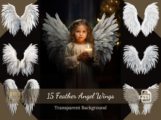 15 Feather Angel Wings Photo Overlays/Clipart Collection