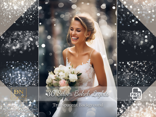 30 Silver Bokeh Lights Overlay/Clipart Collection
