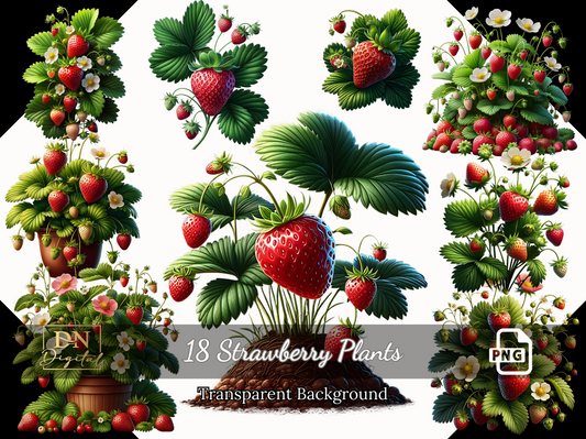 18 Strawberry Plants Clipart Collection With Free Commercial License