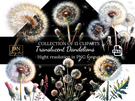 Translucent Dandelions Clipart Collection 1