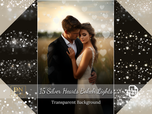 15 Silver Hearts Bokeh Lights Overlay/Clipart Collection