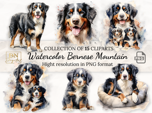 Watercolor Bernese Mountain Dogs Clipart Collection