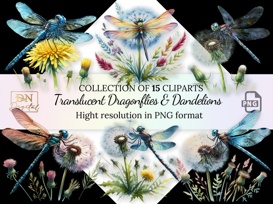 Watercolor Translucent Dragonflies and Dandelions Clipart Collection