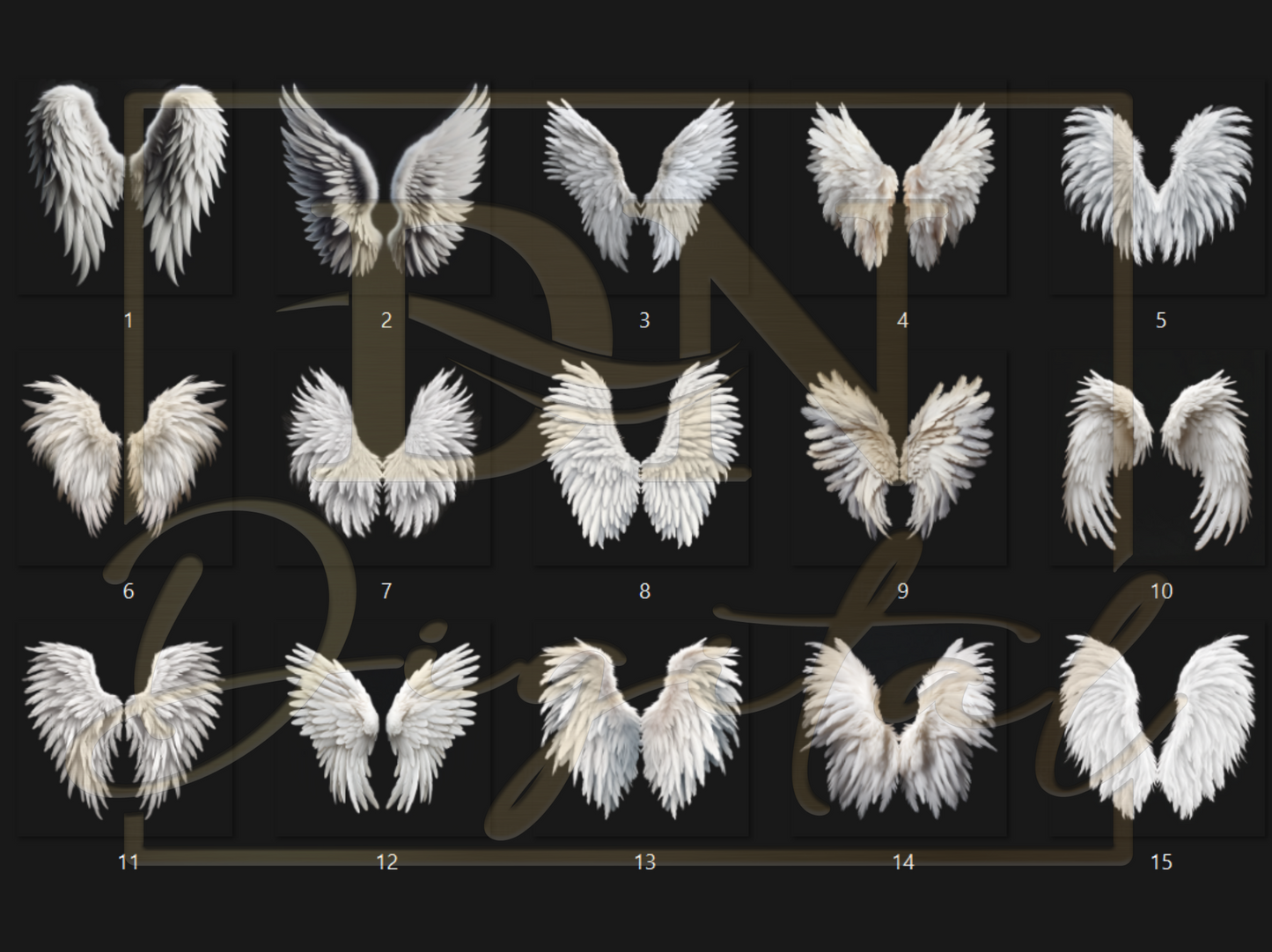 15 Feather Angel Wings Photo Overlays/Clipart Collection